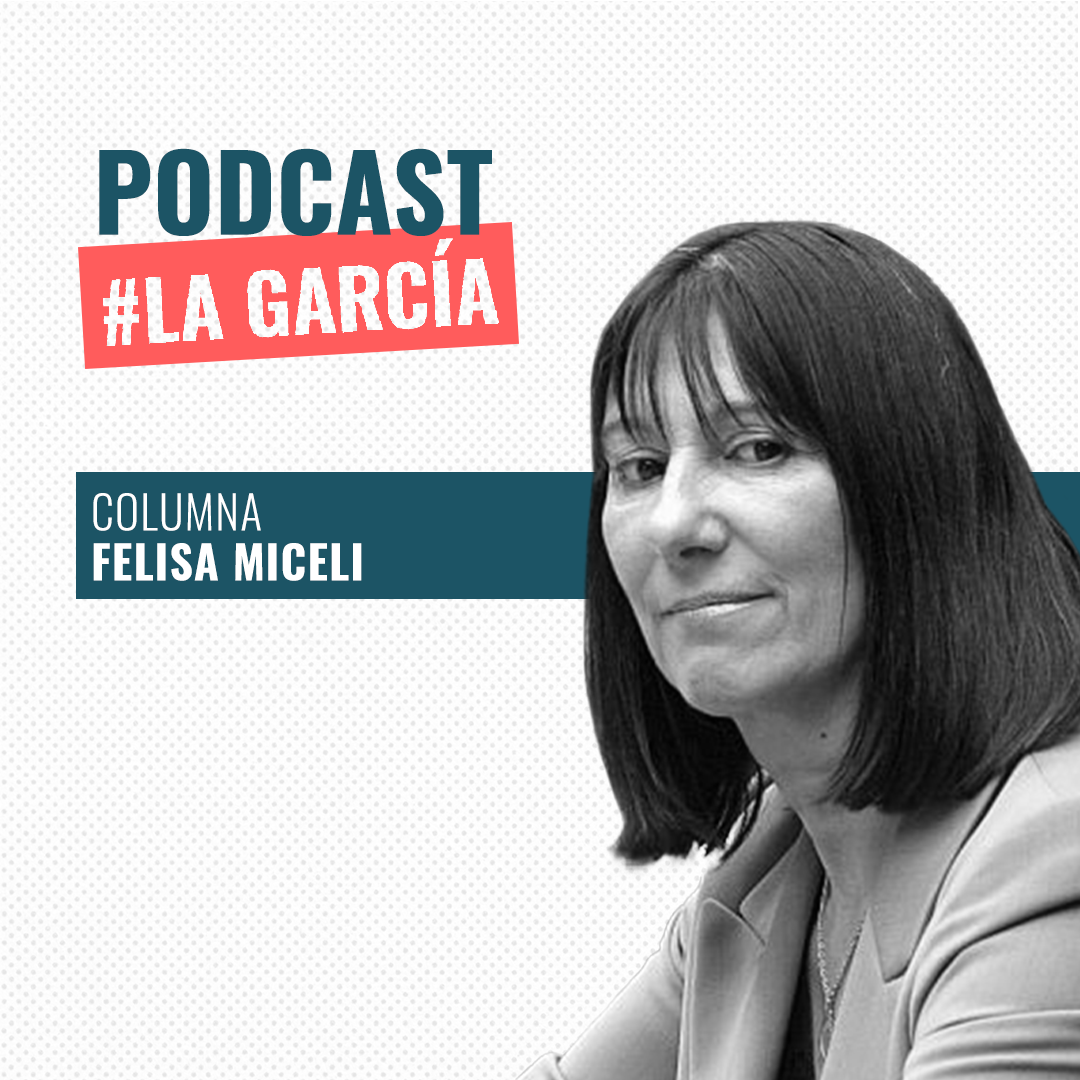 Felisa Miceli sobre el Fallo YPF